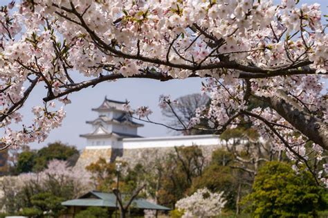 Akashi Park The Kansai Guide The Origin Of Japan Kansai