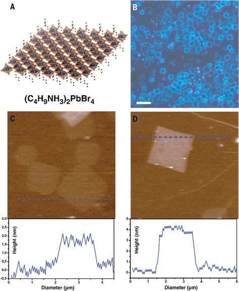 Synthesis Of Atomically Thin D C H Nh Pbbr Crystals A