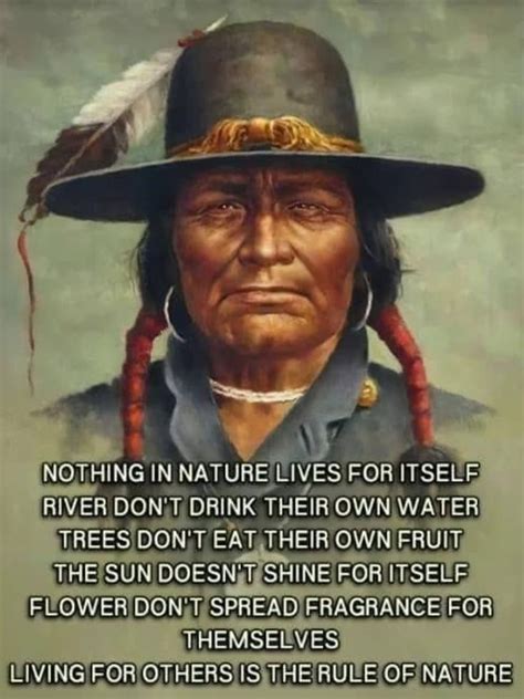 Native American Quotes Wisdom American Indian Quotes Native Quotes