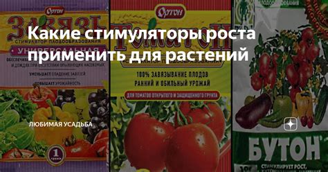 Какие стимуляторы роста применить для растений | Любимая усадьба | Дзен