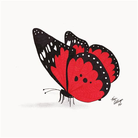 Red Butterfly Drawing by Kevin Dellinger - Fine Art America