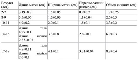 Anteflexio Versio что означает матка