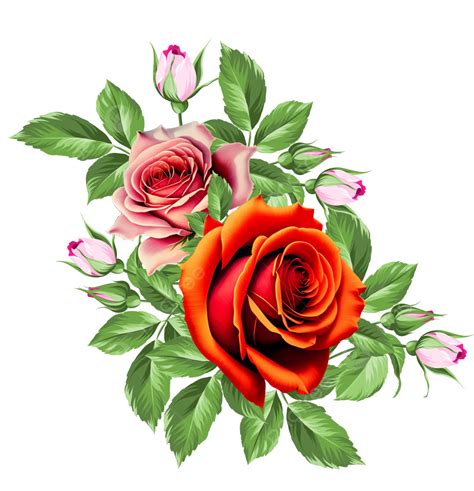 Beautifull The Nature Red Rose Flower Bouquet Rose Flower Bouquet