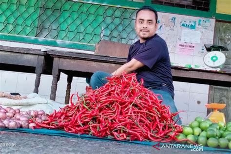 Harga Cabai Merah Di Aceh Barat Daya Turun ANTARA News Aceh