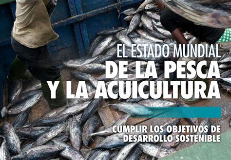 Estado Mundial De La Pesca Y La Acuicultura Gastronom A C A