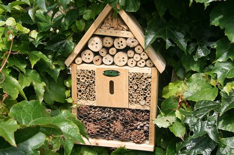 How To Make An Ecofriendly Bug House