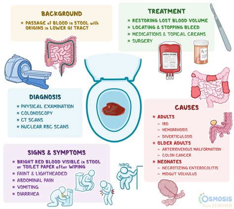 Understanding Anal Bleeding Causes And Treatment Ask The Nurse Expert