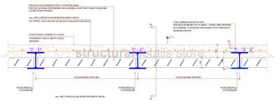 Steel Beam Composite Slab Cross Section Detail