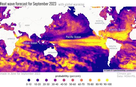 More Marine Heatwaves Could Spell Disaster For Ocean Life Codeblue