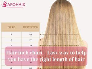 Hair Inch Chart Way To Help You Have The Right Length Apohair