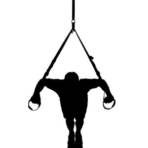 Collection of Trx PNG. | PlusPNG
