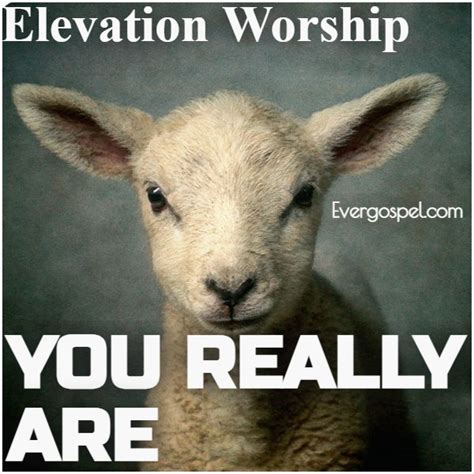 DOWNLOAD: Elevation Worship - You Really Are [Mp3 & Lyrics] * Ever Gospel