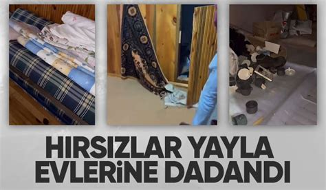 Çiğdem Yaylası nda evlere girilip eşyalar dağıtıldı Akyazı Haber