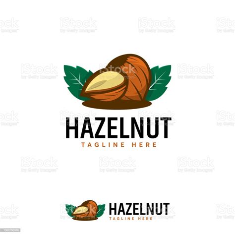 Detailed Hazelnut Designs Vector Illustration Of Hazelnut Fruit