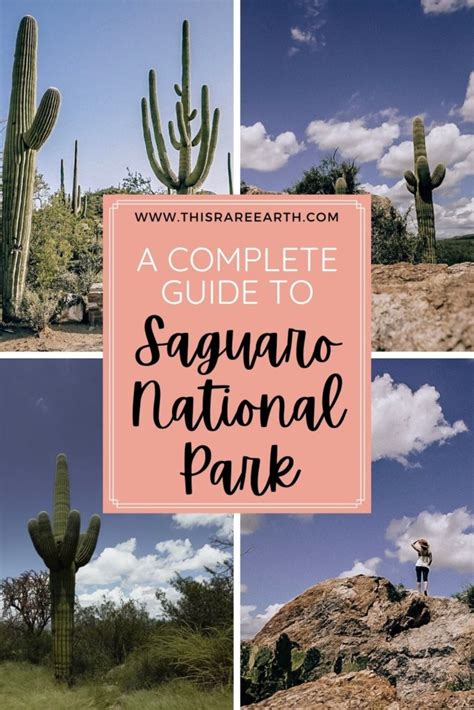 A Complete Guide To Saguaro National Park This Rare Earth Arizona