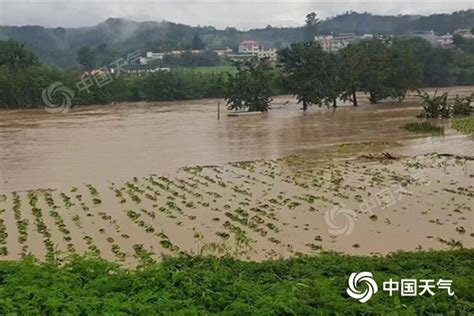 江南华南降雨增多局地有暴雨 华北等地或体验初夏 国内频道 内蒙古新闻网