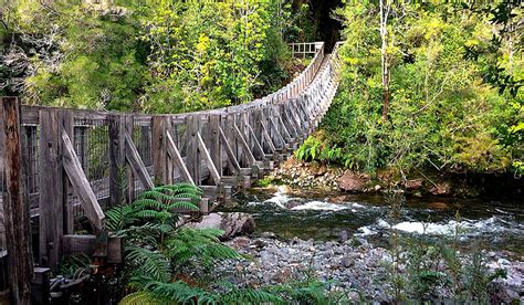 Ind Genas Toman Fundo Cerca Del Parque Nacional Alerce Andino Central