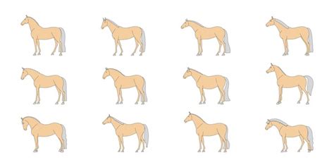 Conformation Horse: Over 31 Royalty-Free Licensable Stock Illustrations ...