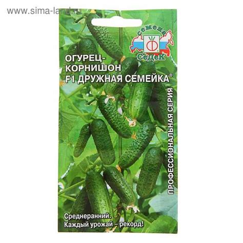 Огурец дружная семейка f1 - отзывы о сорте, описание, фото