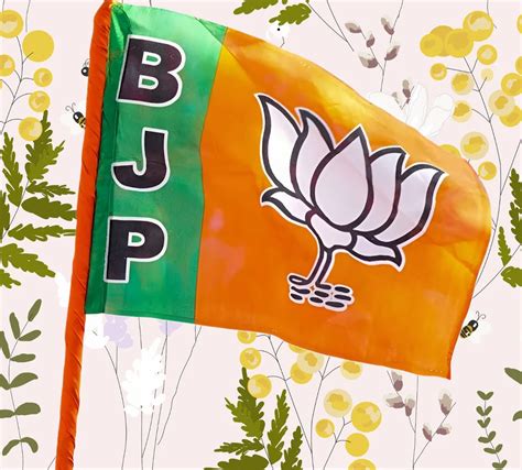 Bjp Flag At Rs 99piece Bjp Party Flag In New Delhi Id 2853712929833