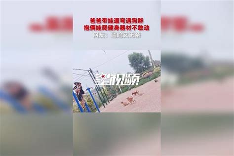 爸爸带娃遛弯遇狗群，抱俩娃爬健身器材不敢动，网友：尴尬又无奈