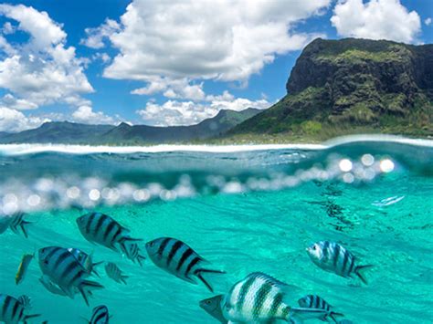 Mauritius Complete Travel Guide - ETIC Journal