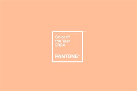 Pantone Divulga Cor Do Ano De 2024 Peach Fuzz Design Conceitual