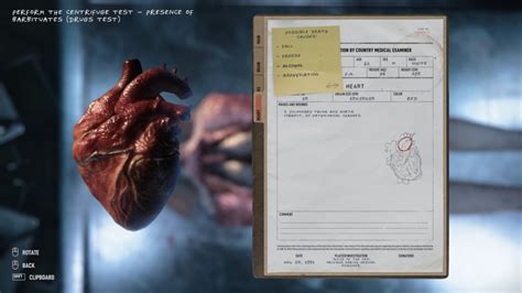 Autopsy Simulator Deluxe Edition Pc Buy It At Nuuvem