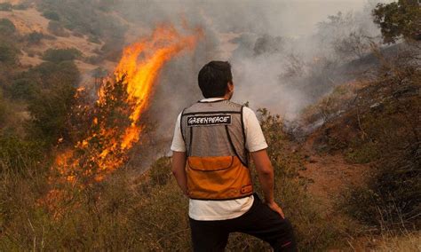 Gu A Preventiva De Incendios Consejos Pr Cticos Que Evitan Su