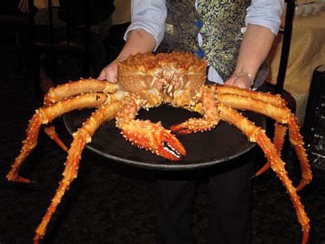 King Crab Feast A Delicious Seafood Delight