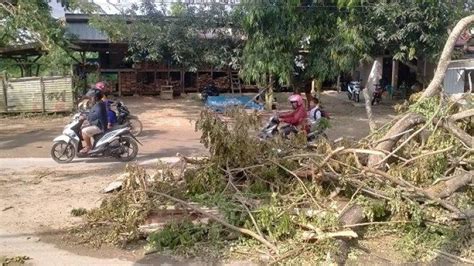 Daftar Rumah Rusak Di Kendari Terdampak Hujan Deras Dan Angin Kencang