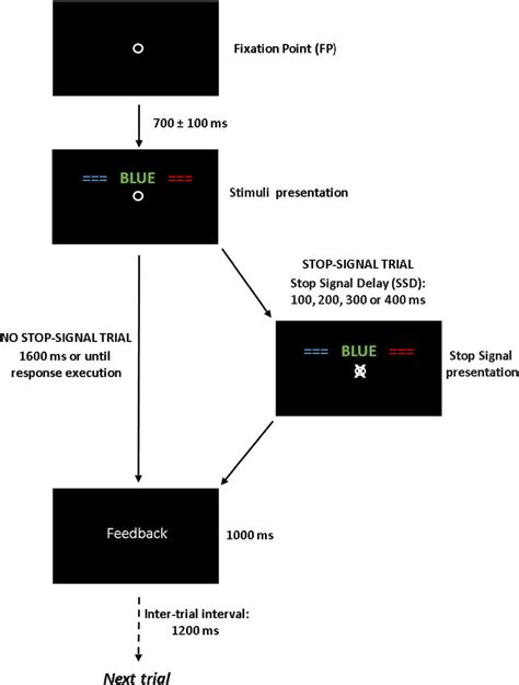 Schematic Representation And Temporal Sequence Of The Stimulus Display