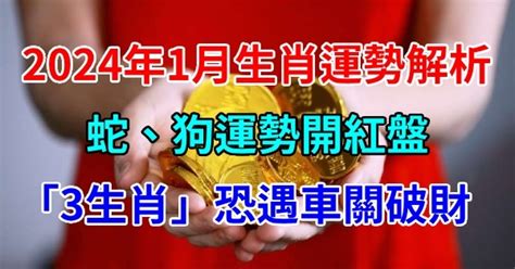 2024年1月生肖運勢解析！蛇、狗運勢開紅盤，「3生肖」恐遇車關破財