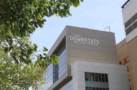 state funds  save suny downstate hospital