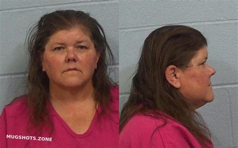 Hoey Lisa Gay Williamson County Mugshots Zone
