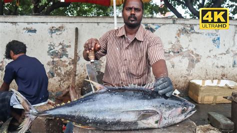 Big Size Tuna Fish Surai Meen Fast Cutting In Kasimedu Fish Market