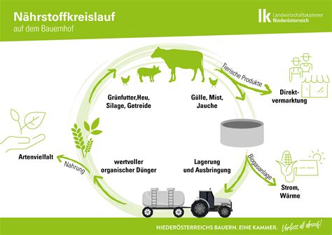 Kreislaufwirtschaft Landwirtschaft Verstehen