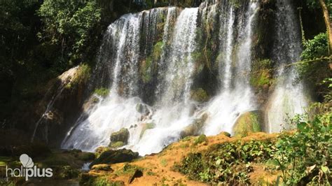 Reservar Excursi N Parque Natural El Nicho Topes De Collantes