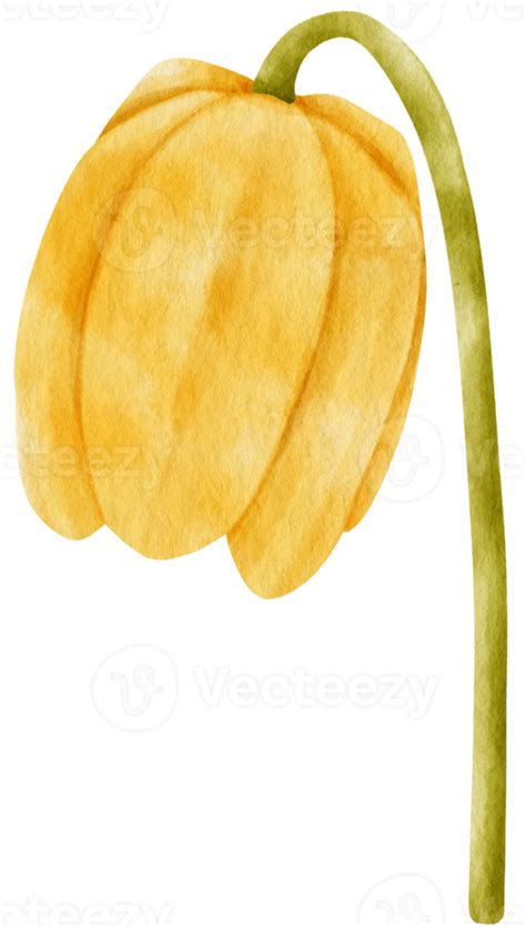 Yellow Flower Watercolor Style For Decorative Element 9788457 Png