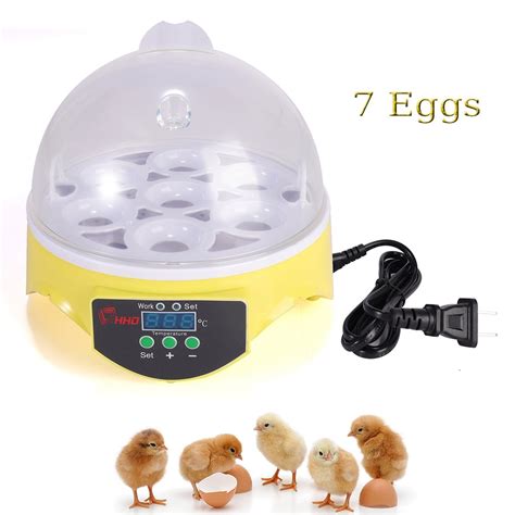 Cjc Digital Eggs Incubator Mini Clear Poultry Hatching Machine