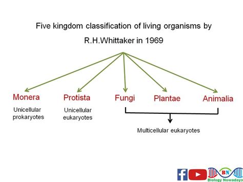 Biological classification, biological classification class 11 ...