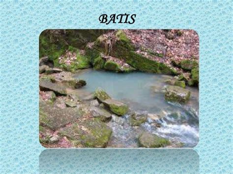 batis anyong tubig meaning anyong tubig images   finder