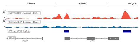 Chip Seq Histone Modification - Basic Introduction - Regulatory Genomics Toolbox : The aligned ...