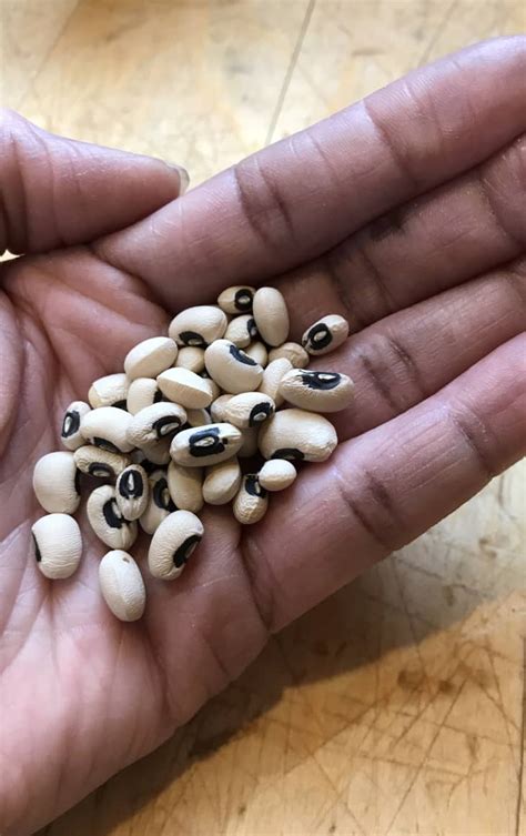 Dried Black Eyed Peas Review The Kitchn