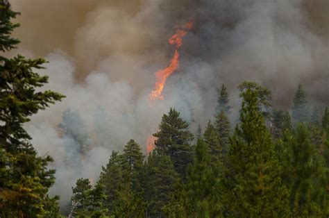 Oregon Wildfires Have Cost Taxpayers More Than 100 Million The