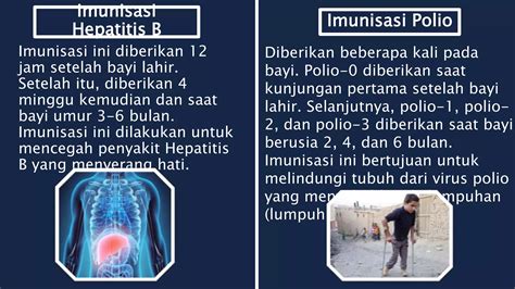 Powerpoint Sistem Pertahanan Tubuh Pada Manusia Bab V Biologi Kelas 11