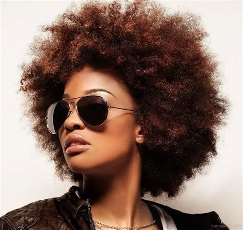 15 Cool Afro Hairstyles Pictures For Ladies Sheideas