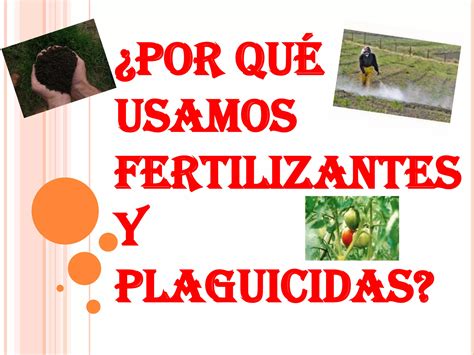 Por Qu Usamos Fertilizantes Y Plaguicidas Ppt