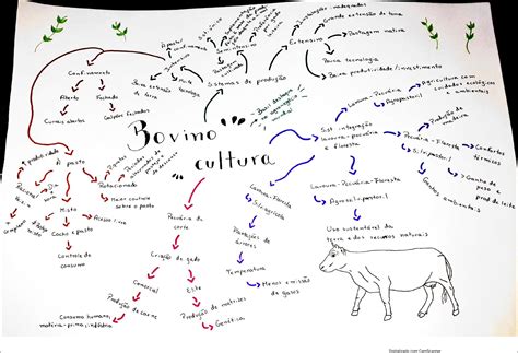 Mapas Mentais Sobre Pecuaria Study Maps