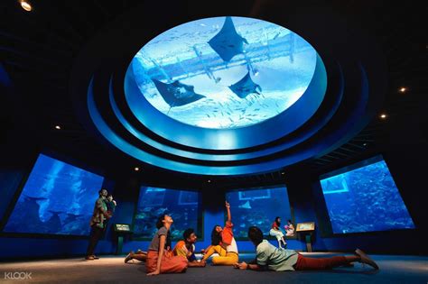 Book Sea Aquarium Sentosa Singapore Ticket Online